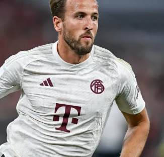 吸引着来自 吸引着来自